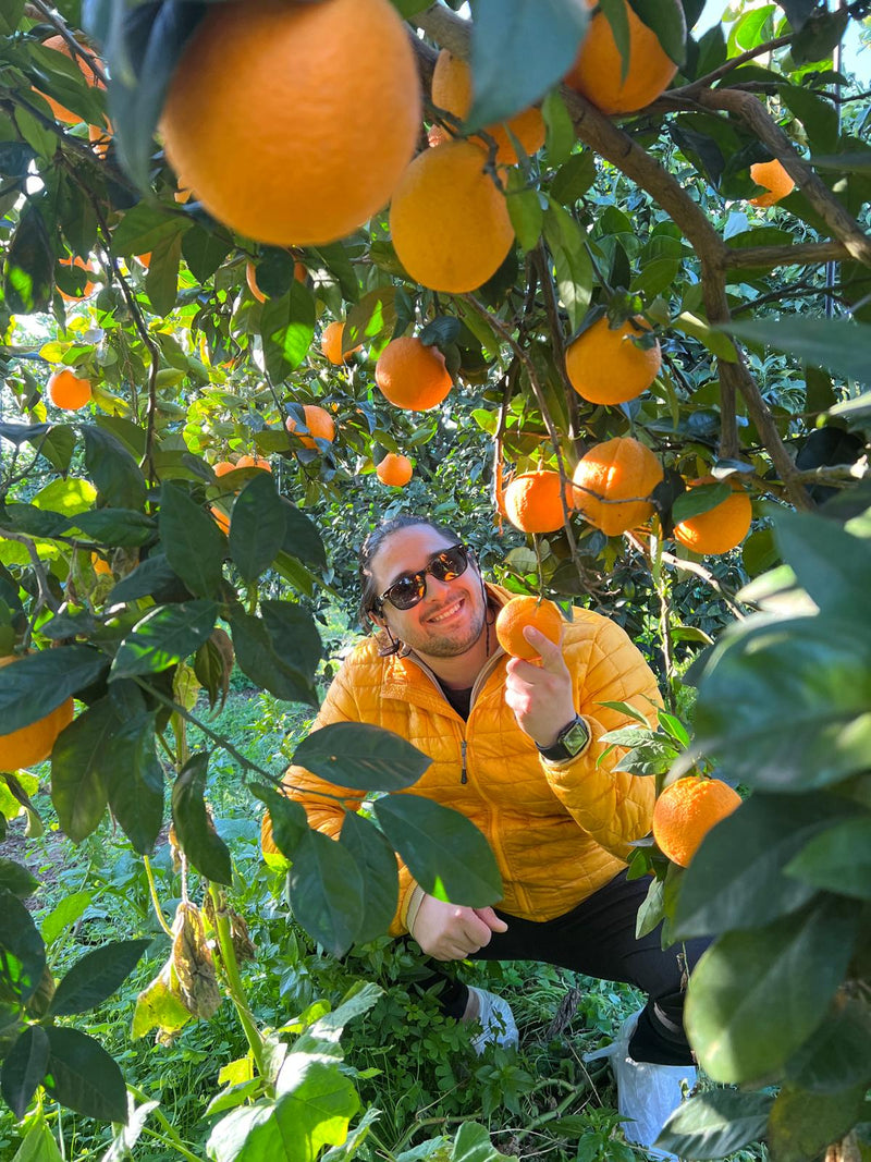 Bio Orangen kaufen – Frisch, nachhaltig & direkt aus Sizilien