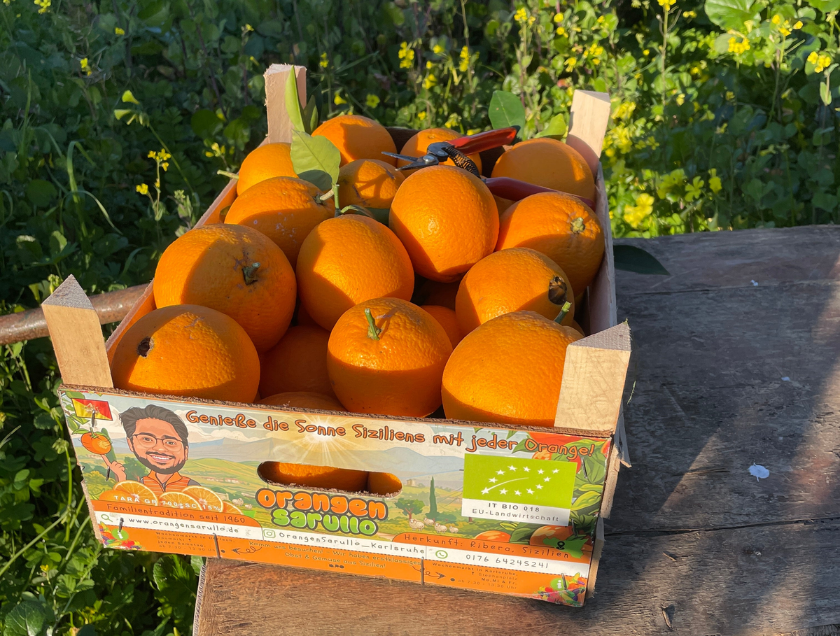Sizilianische Zitrusfrüchte