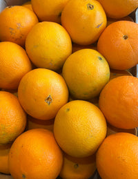 Bio-Siziliansiche Fiorone Orangen