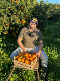 Bio-Sizilianische W. Navel Orangen