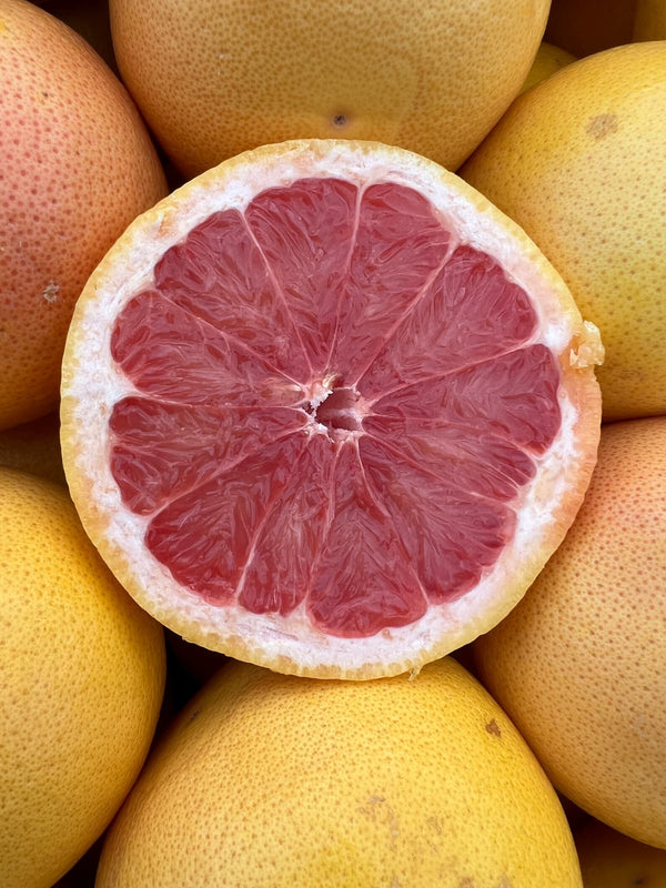 Nahaufnahme pinke Grapefruit