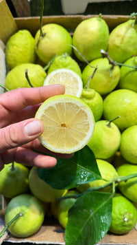 Bio-Sizilianische Zitronen