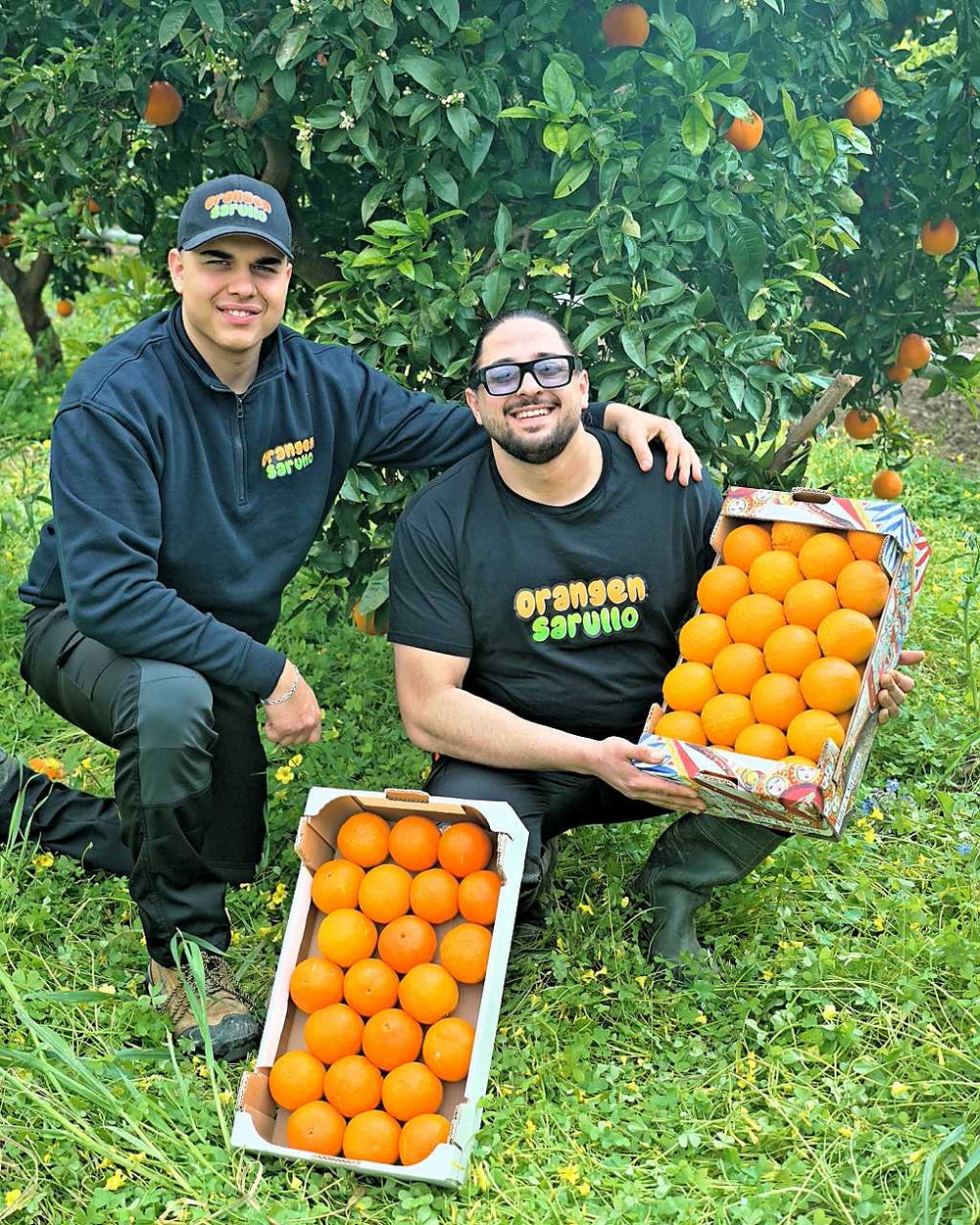Bio-Orangen aus Ribera, Sizilien – vom Familienunternehmen Sarullo
