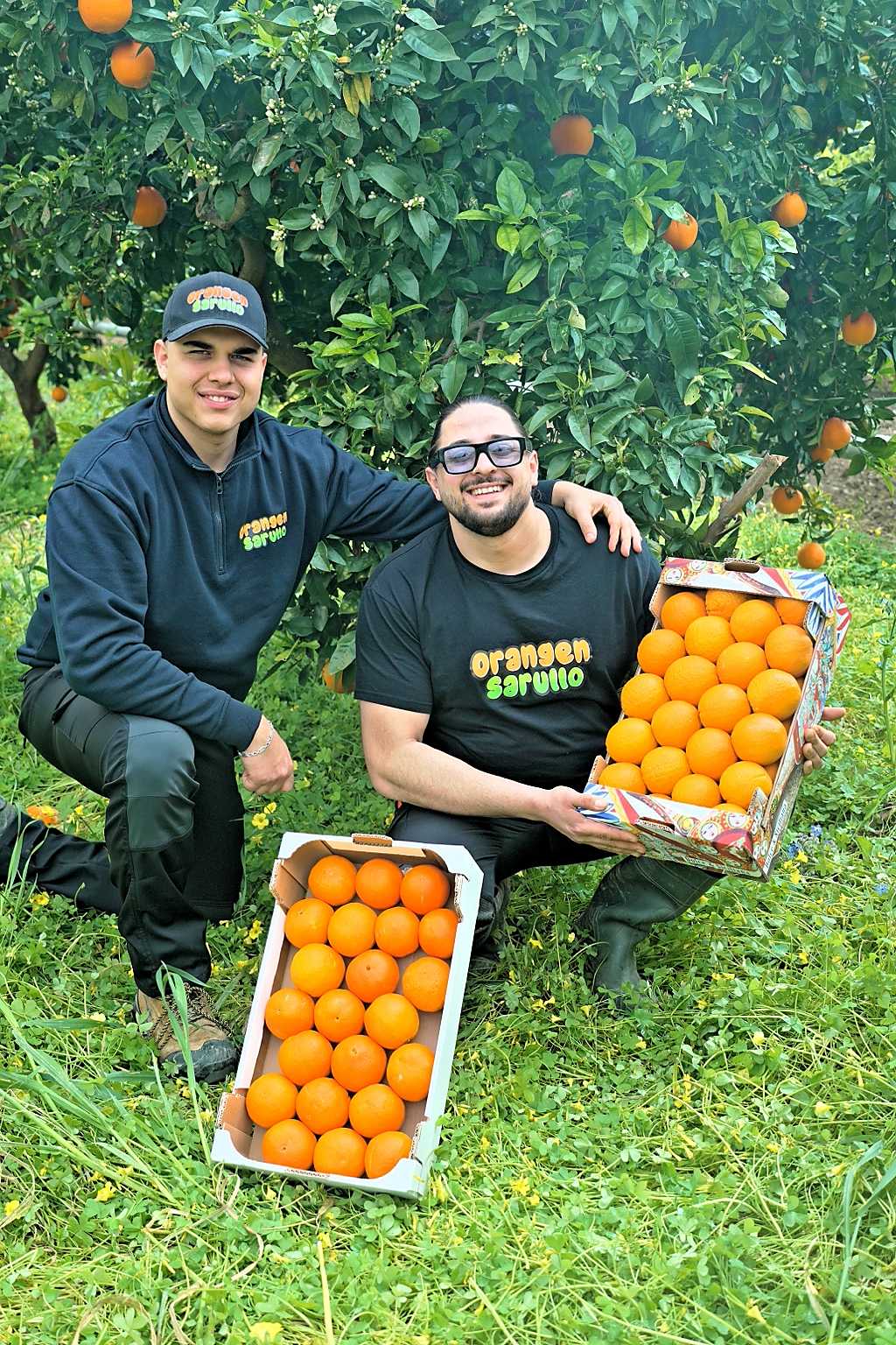 Bio-Orangen aus Ribera, Sizilien – vom Familienunternehmen Sarullo