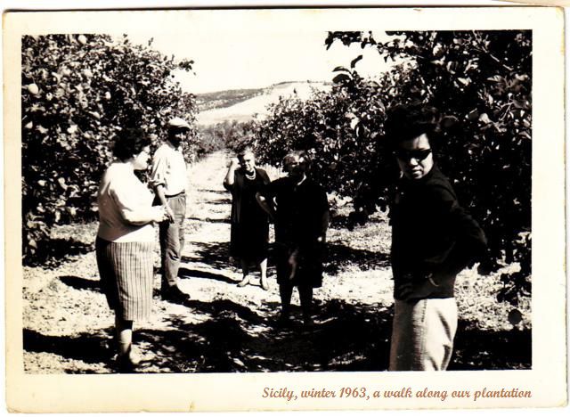 Familie Sarullo 1968 bei der Arbeit in Ribera, Sizilien – historisches Schwarz-Weiß-Familienfoto
