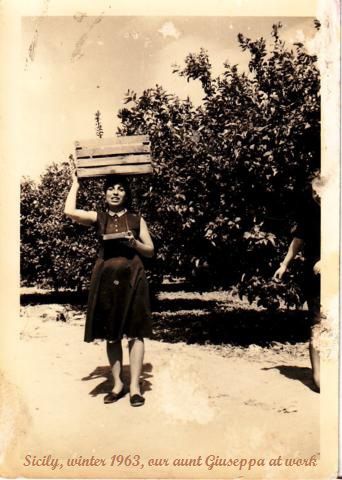 Tante Giuseppa trägt im Winter 1963 eine Holzkiste auf dem Kopf durch einen Obstgarten auf Sizilien